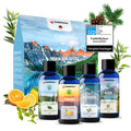 Vier blaue 100-ml-Flaschen vor der Bergsee-Verpackung, dazu Orange, Zitrone und Zweige, oben das iip-Siegel „Sehr gut (1,1)“