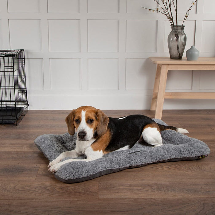 Beagle resting on the Scruffs Cosy Crate Mat beside a wire crate