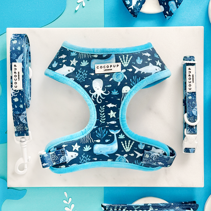 Adjustable blue and teal harness, collar, and lead set with playful sea life pattern from Cocopup London.