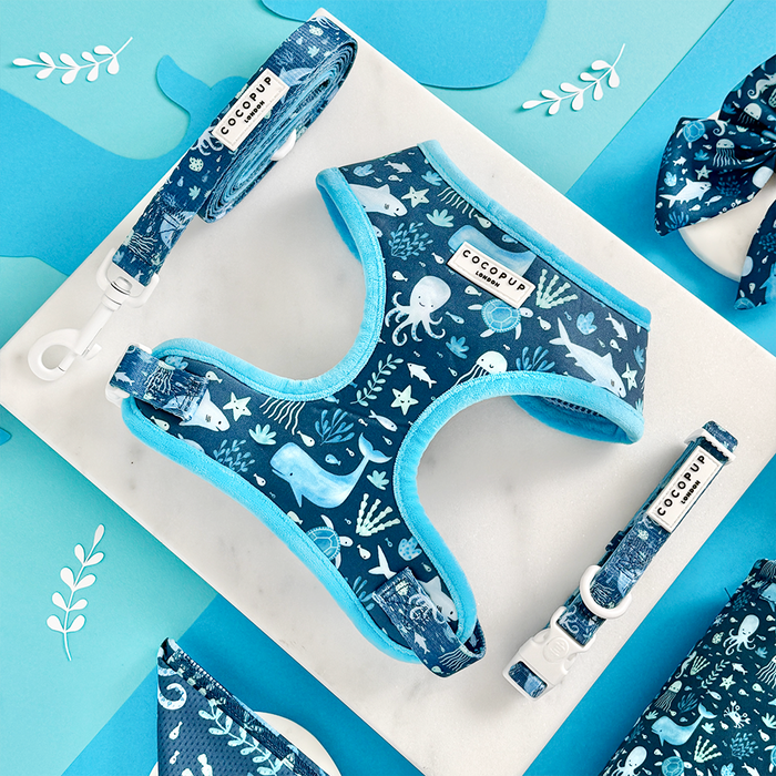 Blue and white dog harness, lead, and collar set with adjustable straps and playful sea creature print.