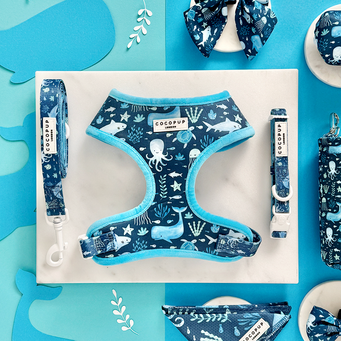 Blue harness, lead, and collar set featuring playful ocean animal print from Cocopup London.