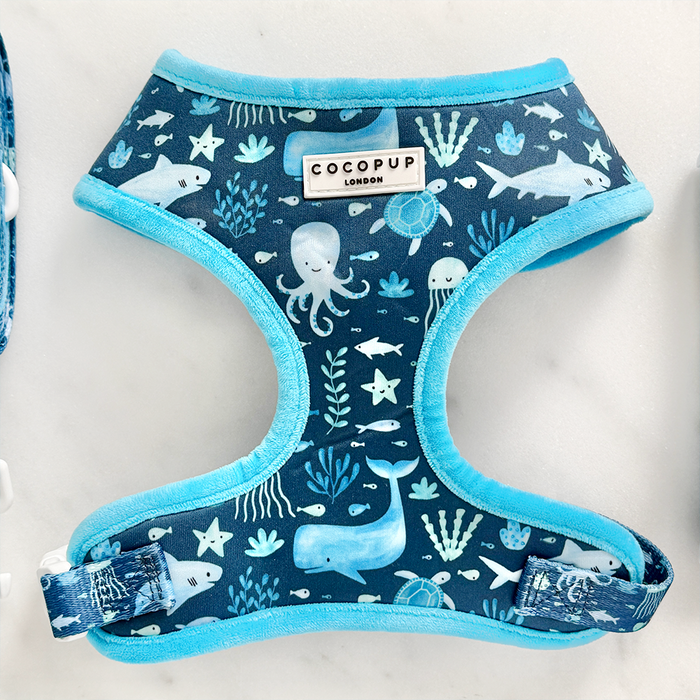 Cocopup London harness, lead, and collar set in blue with playful sea life pattern and adjustable straps.