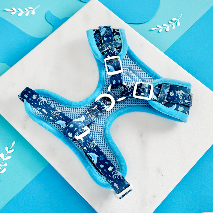 Sea Life Pawty harness, lead, and collar set with blue ocean-themed pattern displayed on a blue geometric background.