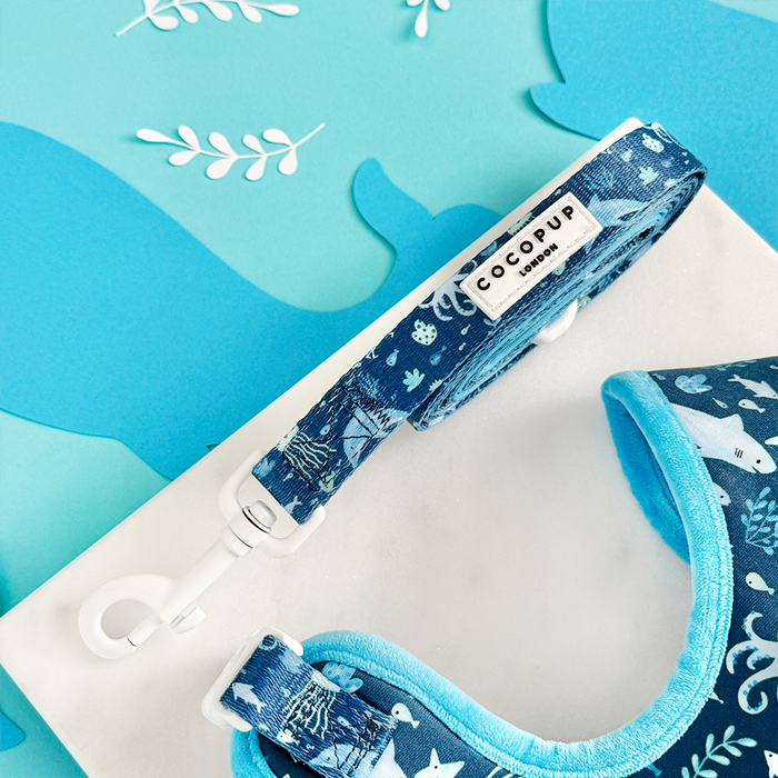 Cocopup London Sea Life Pawty adjustable harness, lead, and collar set in blue and white, displayed on matching background.