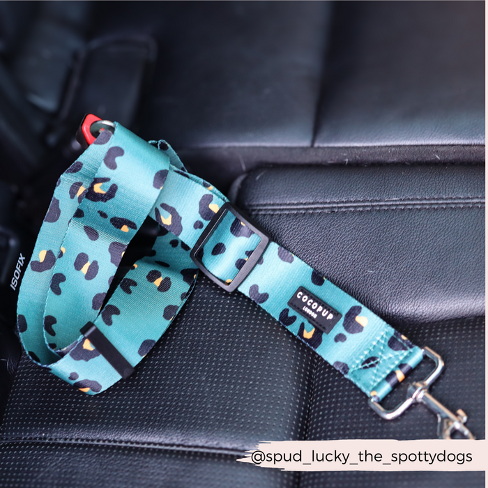 Khaki leopard print Cocopup London seat belt restraint with metal clip resting on a grey car seat.