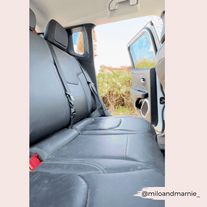 Black leather car backseat with door open and Cocopup London mocha flower seat belt restraint attached.