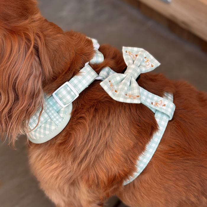 Reddish dog wearing a Cocopup London Silly Goose bow tie and blue plaid harness with a matching bow on the back.