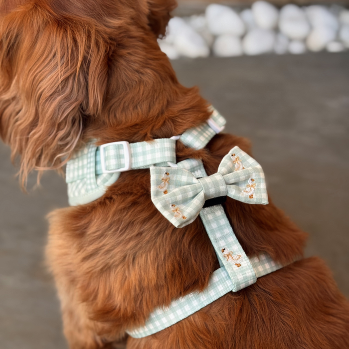 Brown dog wearing a light green gingham Cocopup London Silly Goose Bow Tie and harness, sitting on a gray surface.