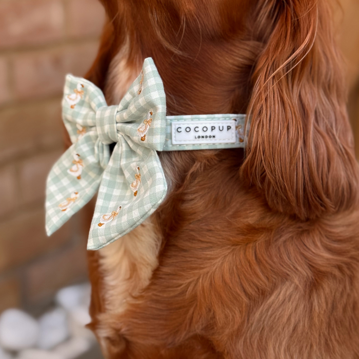 Brown dog by brick wall wears a green and white sailor-style bow tie from Cocopup London.