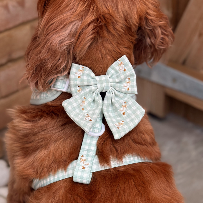 Brown dog wears Cocopup London green gingham harness with a matching Silly Goose Sailor Bow Tie.