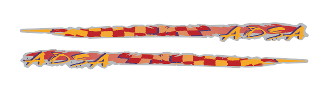 Ski Doo 2000 MXZ / MXZX 440 Trailing Arm Decals
