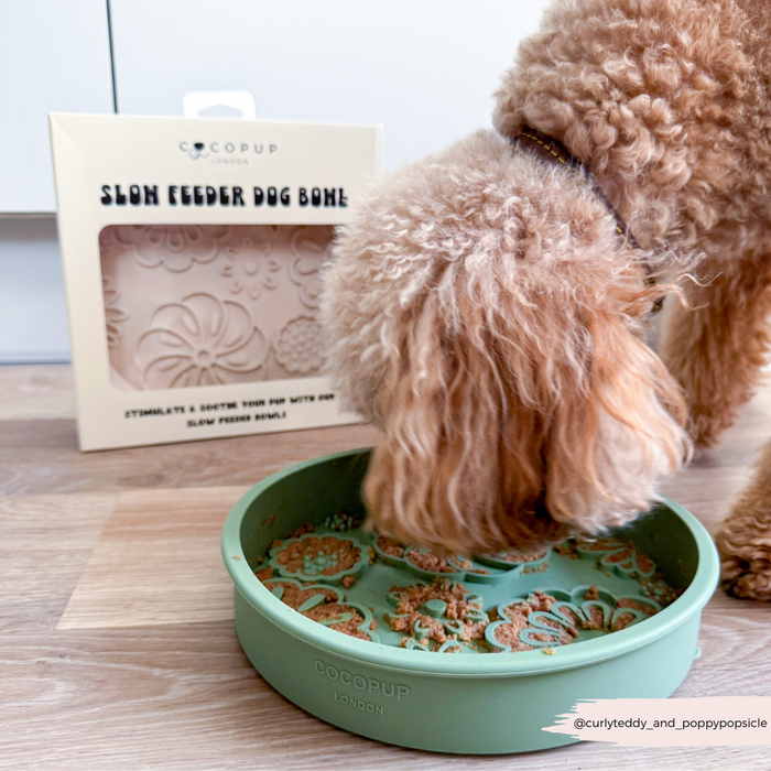 Curly-haired dog eating from a pink floral Cocopup London slow feeder lick bowl; product packaging in background.