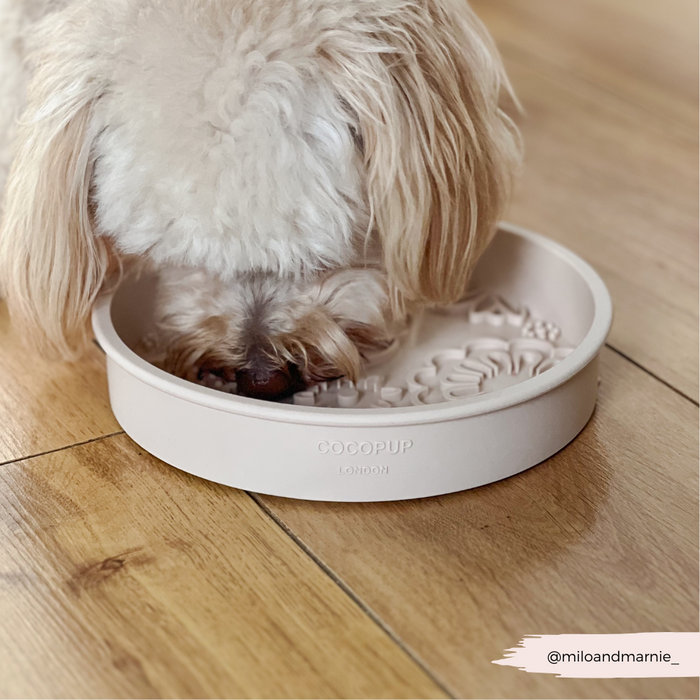 Fluffy white dog eating from a pink floral slow feeder bowl on a wooden floor.