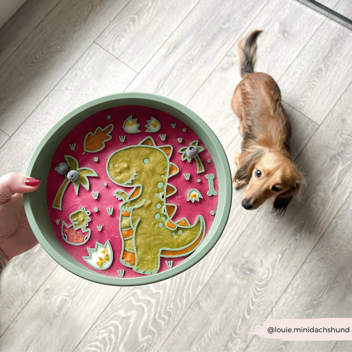 Dachshund looks up at a pink Dinopaws slow feeder dog bowl with dinosaur-shaped treats on a matching pink mat.