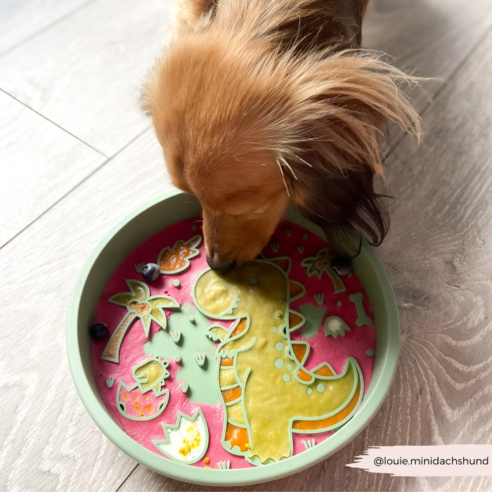 Long-haired dachshund licking food from a green Dinopaws slow feeder dog bowl on a wooden floor.