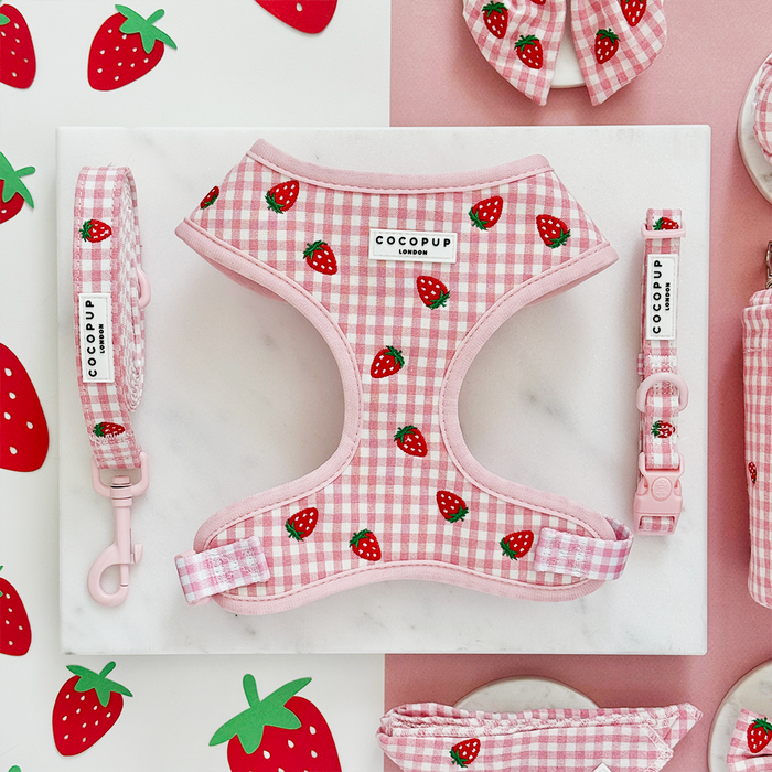 Strawberry Picnic Pup set with adjustable harness, collar, and lead, all featuring pink fabric and strawberry print details.