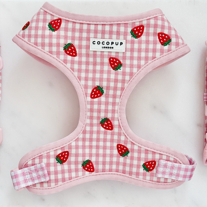 Pink strawberry-patterned dog harness, lead, and collar bundle set on a white marble surface.