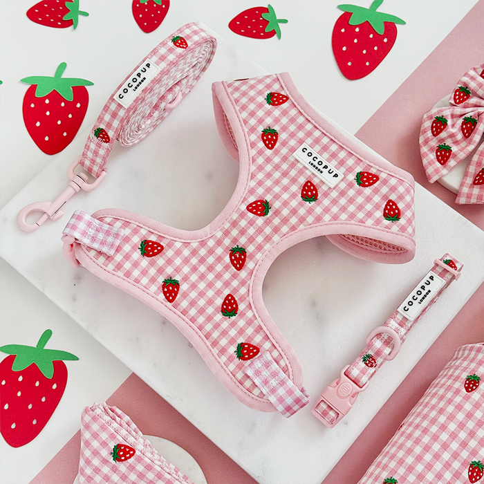 Strawberry Picnic Pup set by Cocopup London: pink harness, collar and lead with red strawberry pattern.