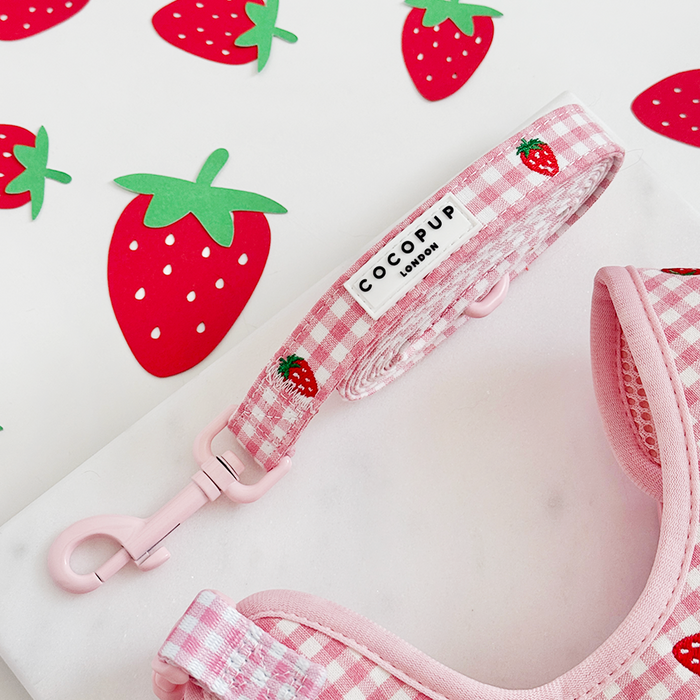 Pink gingham dog accessories bundle with strawberry-themed details from Cocopup London.