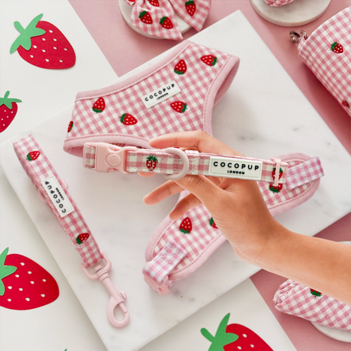 Hand holds a pink strawberry-print adjustable collar and harness set on a matching strawberry-patterned background.