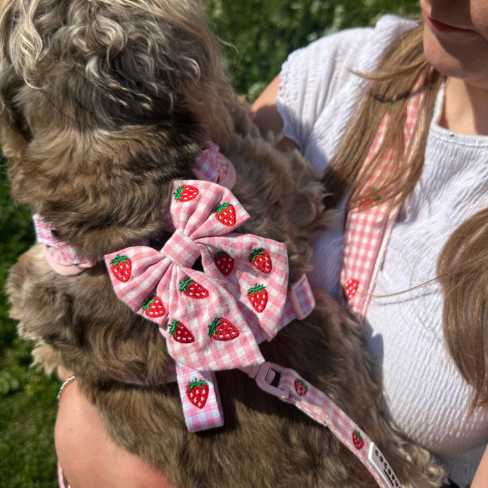 Woman and dog outdoors wearing matching red and white Cocopup London Strawberry Picnic pup sailor bow ties.