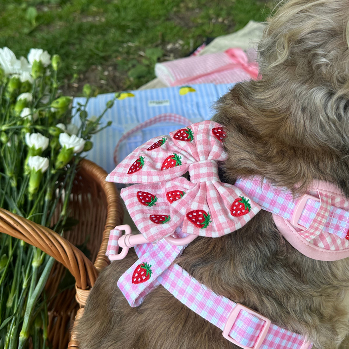 Dog wearing a pink Cocopup London harness and strawberry-patterned sailor bow tie sitting near flowers and a picnic basket.