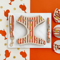 A orange and beige stripe dog harness, collar and lead, with embroidered drink and sun graphics.