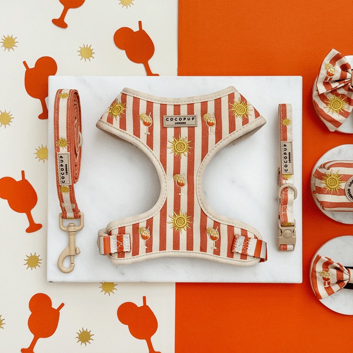 A orange and beige stripe dog harness, collar and lead, with embroidered drink and sun graphics.