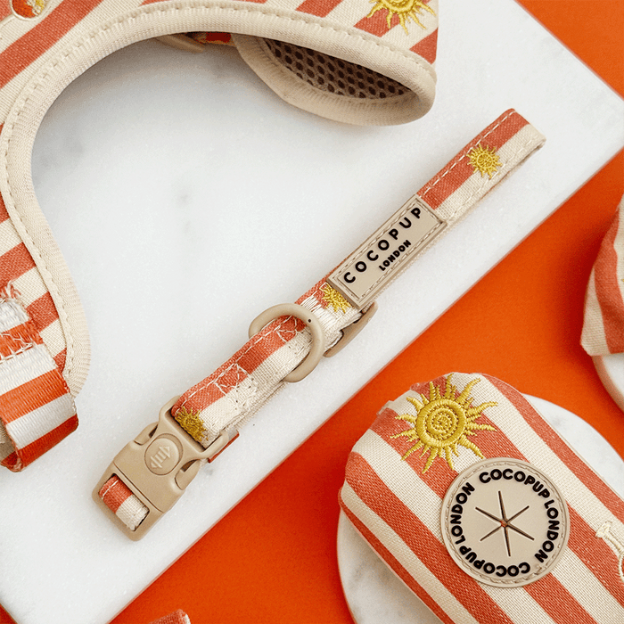 A orange and beige stripe dog collar, with embroidered drink and sun graphics.