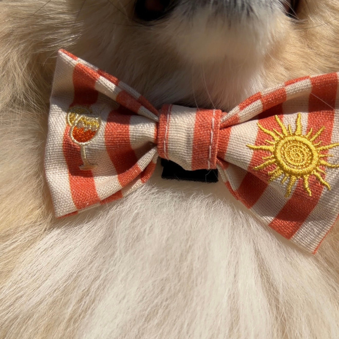 Sunshine & Spritz Bow Tie