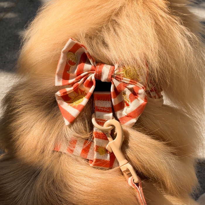 Sunshine & Spritz Sailor Bow Tie