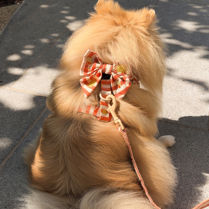 Sunshine & Spritz Sailor Bow Tie