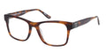 #colour_tortoise