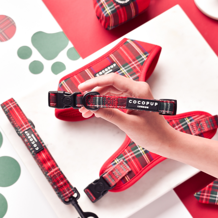 Hand holds a red tartan Cocopup London harness, lead, and collar set with adjustable straps.