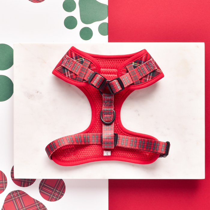 Tartan-patterned Cocopup London harness, lead, and collar set displayed on marble with red and green background.
