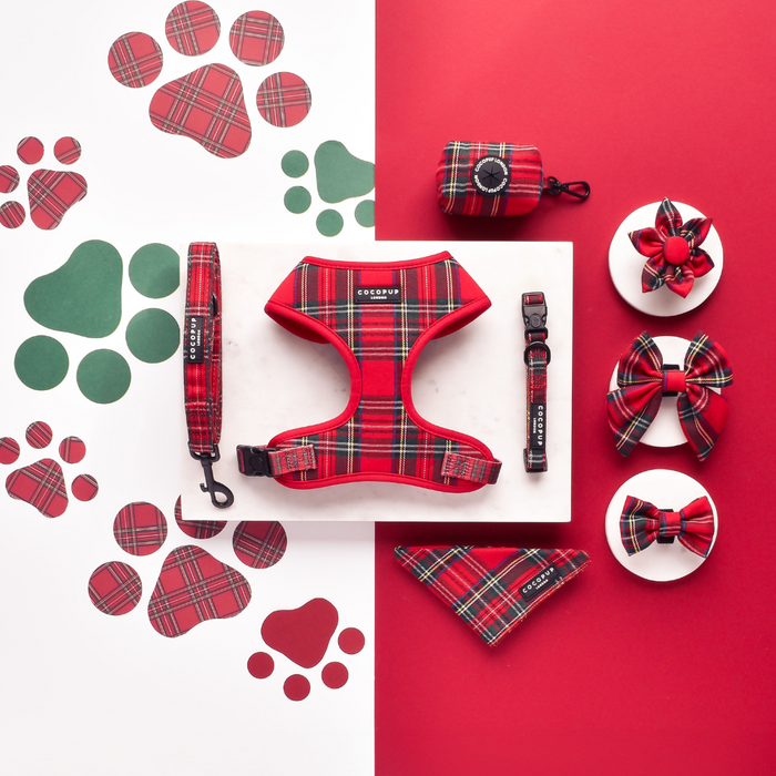 Cocopup London set with red tartan padded harness, matching leash, collar, and two plaid bow ties.