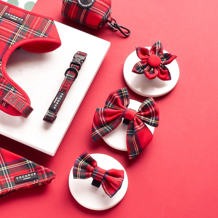 Tartan-patterned Cocopup London collar flower accessory on a red background.