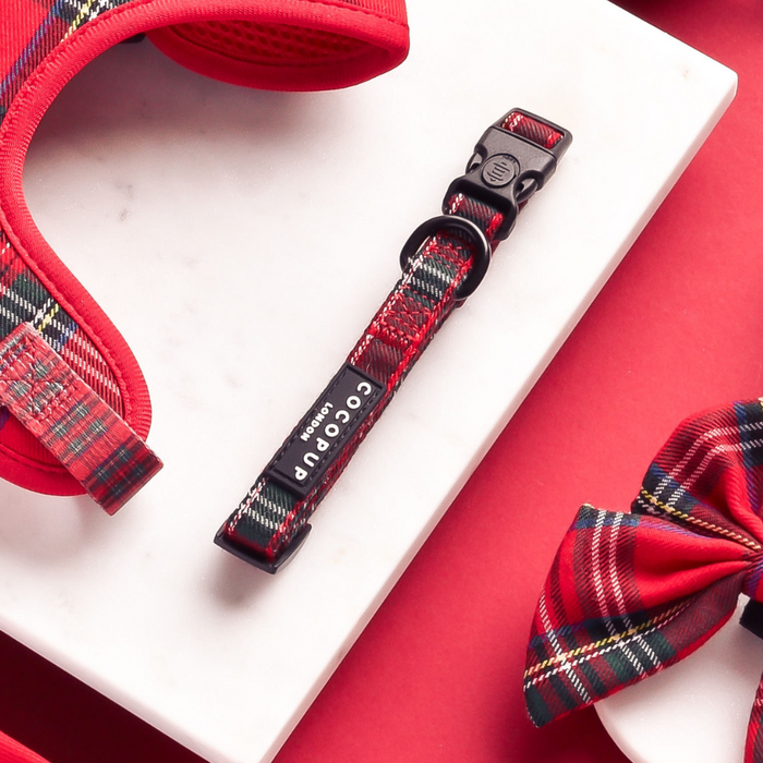 Tartan-patterned dog collar with safety lock on a white surface next to matching accessories.