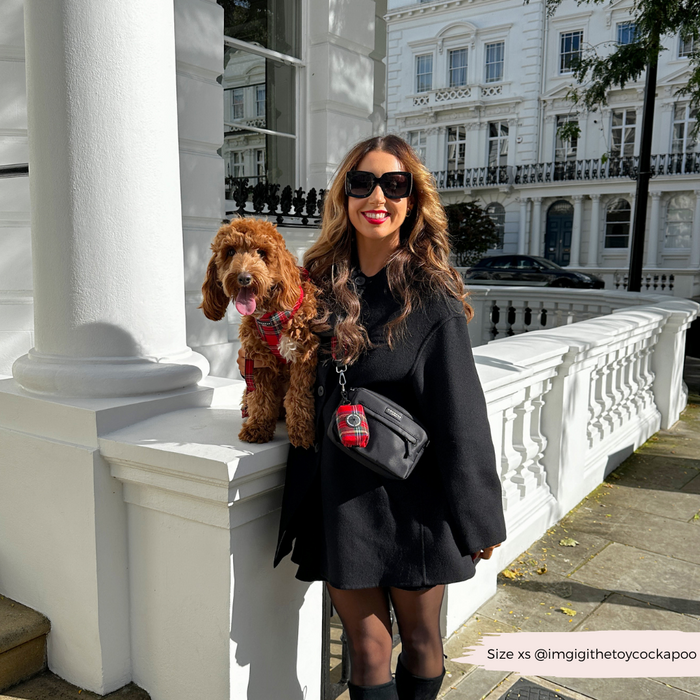 Woman in a black dress and sunglasses outdoors with her brown dog and a plaid Cocopup London poop bag holder.