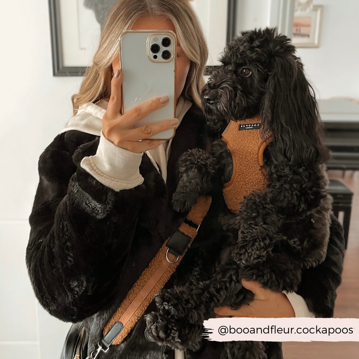 A person with blonde hair, sporting a black jacket and holding a phone, captures a mirror selfie while holding a black Cockapoo dog in a Cocopup London Teddy Adjustable Neck Harness - Paddington. The Instagram handle @booandfleur.cockapoos is visible in the bottom right corner.