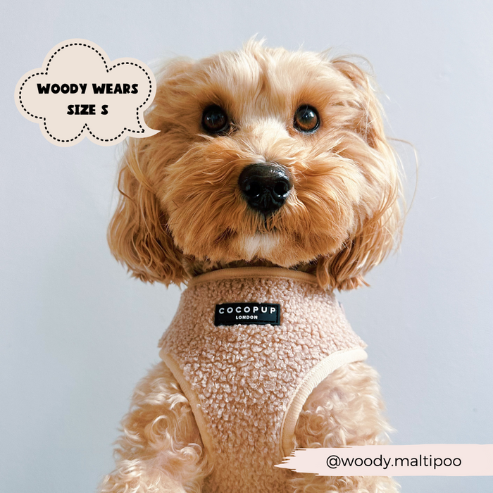 A fluffy dog with curly, light brown fur is pictured wearing a tan-colored, textured harness. Text in a cloud shape reads, "WOODY WEARS SIZE S," and the handle "@woody.maltipoo" is on a banner at the bottom right. The Teddy Adjustable Neck Harness - Rupert from Cocopup London combines style and function for your dog's comfort.
