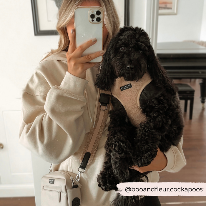 A person wearing a beige hoodie takes a mirror selfie with a smartphone, holding a black Cockapoo dog in their arm. The person sports a beige crossbody bag featuring the Teddy Bag Strap - Rupert from Cocopup London, and the dog is wearing a matching beige harness. The Instagram handle @booandfleur.cockapoos is written on the image.