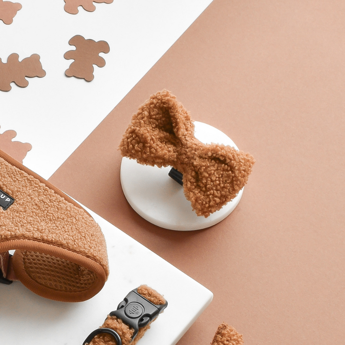 teddy paddington dog bow tie
