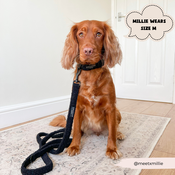 Brown dog on a rug wears a fluffy brown Teddy collar by Cocopup London. Text on image: MILLIE WEARS SIZE M.