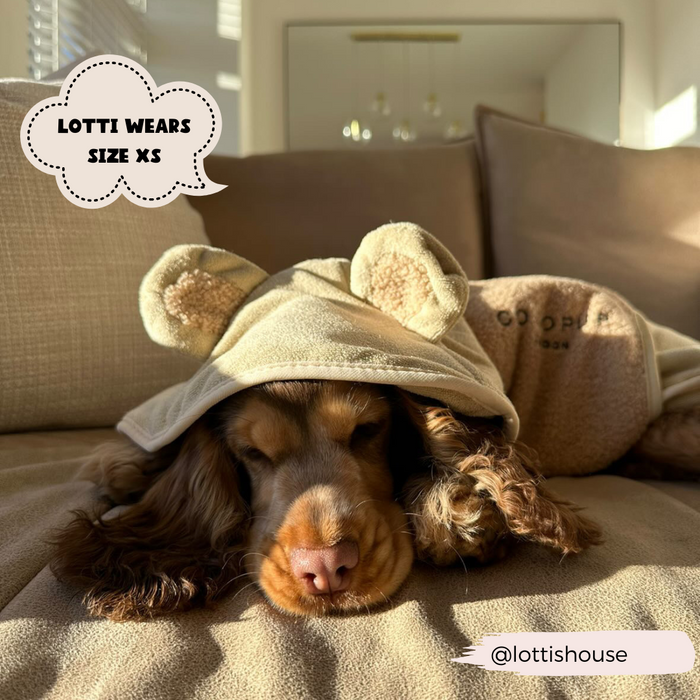 A dog with floppy ears is lying down, wrapped in a cozy Teddy Drying Robe with bear-ears from Cocopup London, on a couch. The text "LOTTI WEARS SIZE XS" is displayed in a speech bubble on the left. The handle "@lottishouse" is written in the bottom right corner.