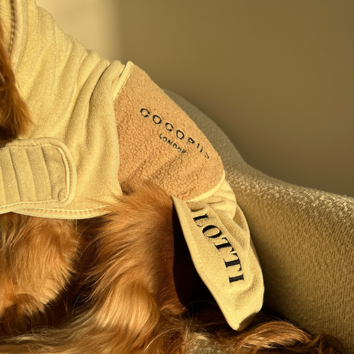 Dog wearing a beige Cocopup London Teddy Drying Robe with “COCOPUP LONDON” and “LOTTI” embroidered on the back.