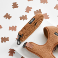 teddy paddington dog lead