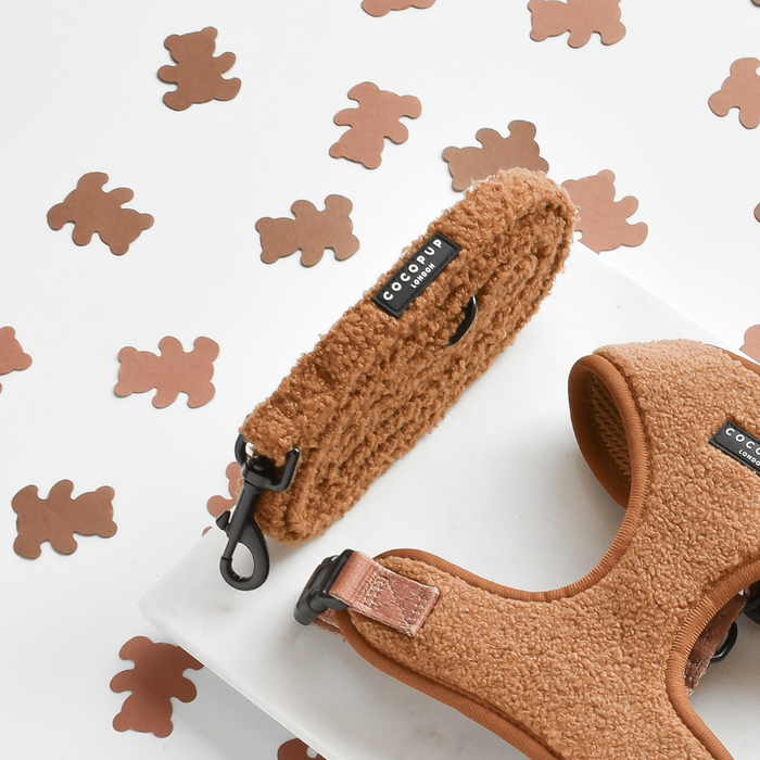 teddy paddington dog lead