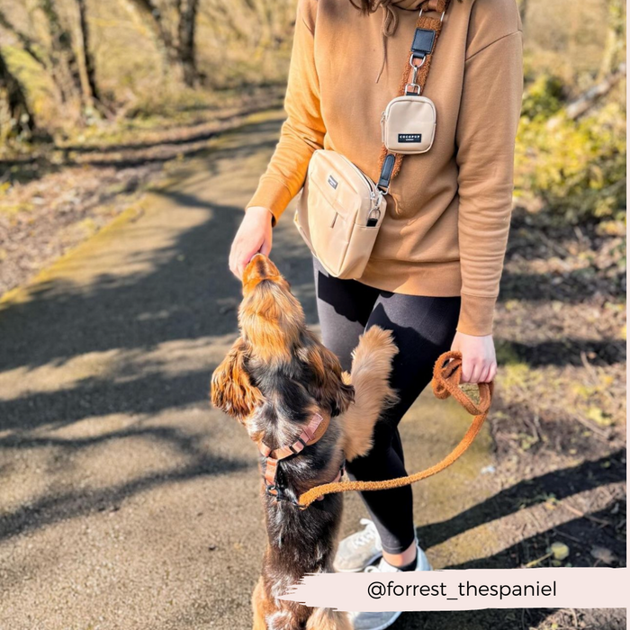 Woman in brown trains her spaniel outdoors with a beige Cocopup London Teddy Lead as the dog stands for a treat.