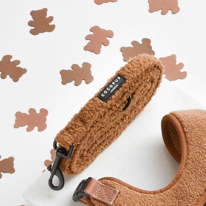 A brown dog accessories set consisting of a harness and matching leash is placed on a white background scattered with light brown bear-shaped confetti. The brand label on the harness and leash reads "Cocopup London." Made from soft neoprene material, the adjustable neck harness promises comfort for pets, featuring the Teddy Paddington Adjustable Neck Harness, Lead & Collar Bundle.